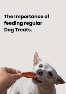 The Importance of Regular Dog Treats